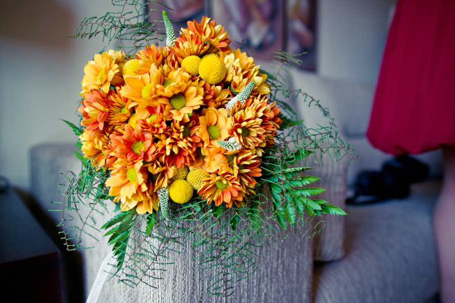 Blumen Blumen