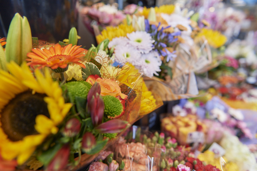 Blumen Blumen